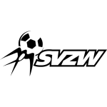 team-logo