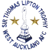 transfer-team-logo