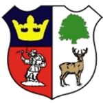 transfer-team-logo