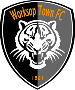 team-logo