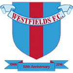 transfer-team-logo