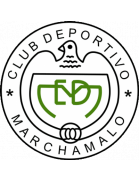 transfer-team-logo