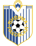 transfer-team-logo