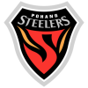 Поханг Стилерс team logo