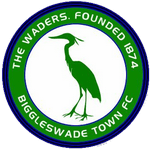 transfer-team-logo