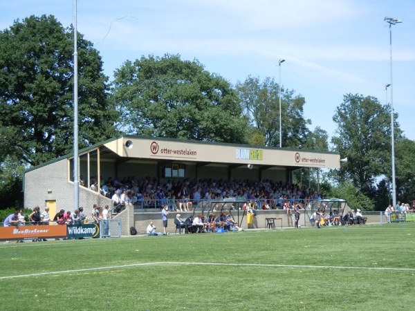 stadium-image