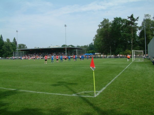stadium-image