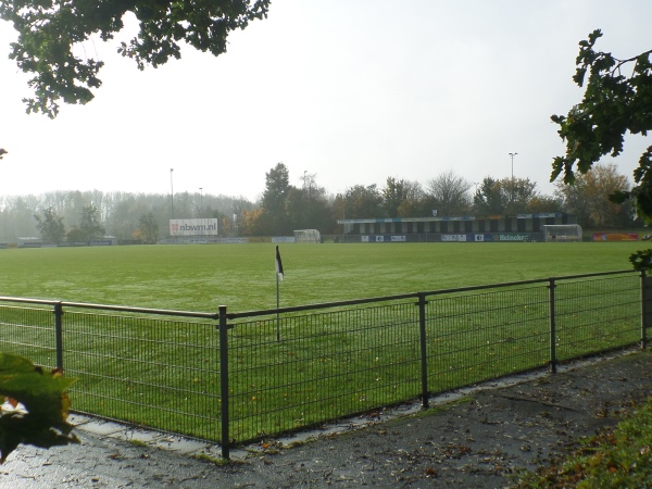 stadium-image