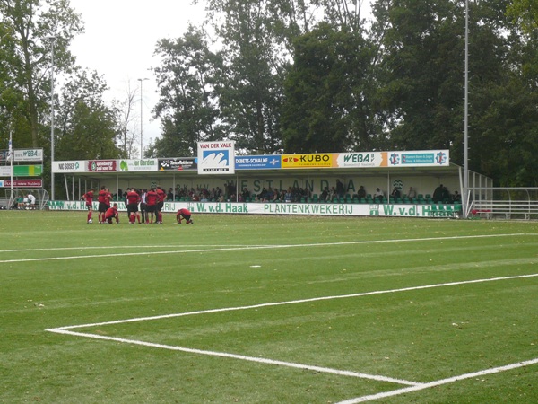 stadium-image