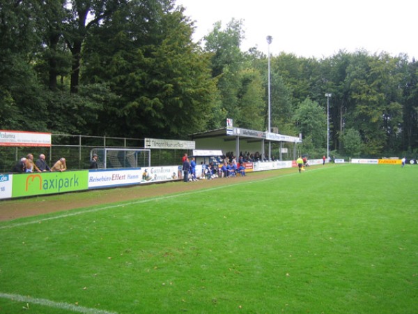 stadium-image