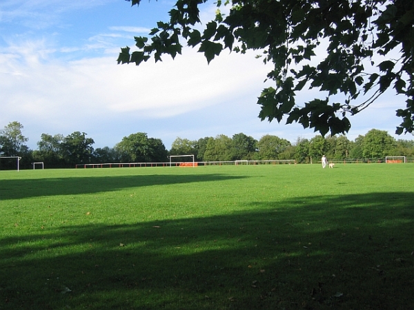 stadium-image